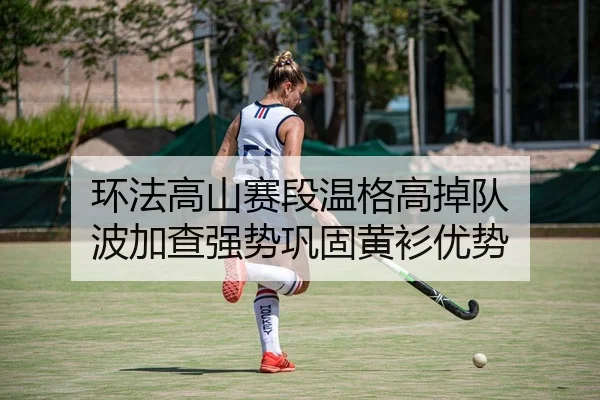 环法高山赛段温格高掉队 波加查强势巩固黄衫优势